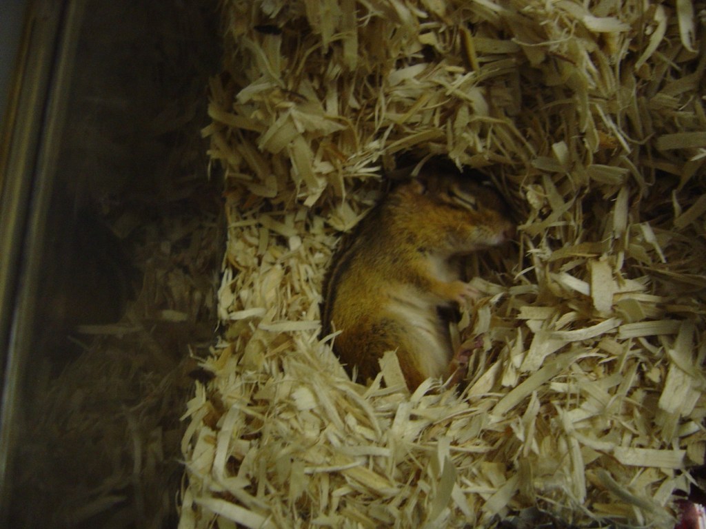 Foto: Danielle L. Levesque