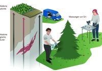 Credits: Blaurock/HZDR