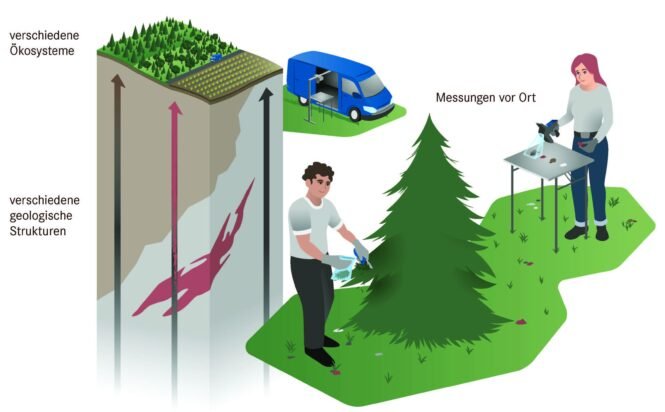 Credits: Blaurock/HZDR