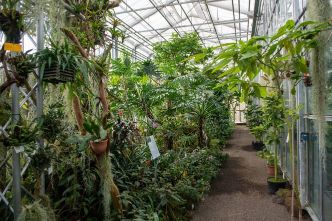 Credits: Universität Ulm