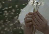 (Credits: Anastasia Shuraeva/pexels)