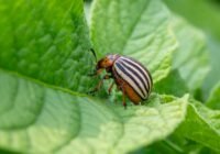 Credits: Erik Karitz, pexels