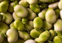 Credits: Ilaria M, pexels