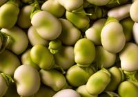 Credits: Ilaria M, pexels