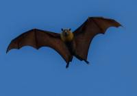 Credits: John Torcasio, pexels