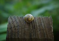 Credits: mariya, pexels