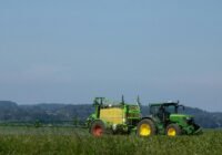 Credits: Mirko Fabian/pexels