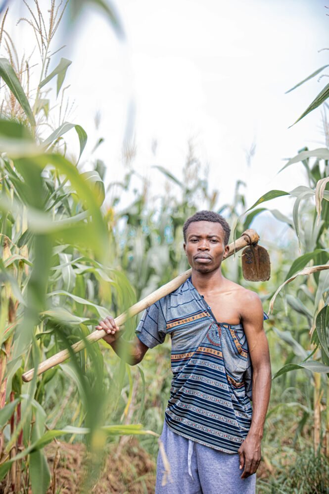 (Credits: Safari Consoler/pexels)