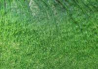 Credits: Sebi Augustine, pexels