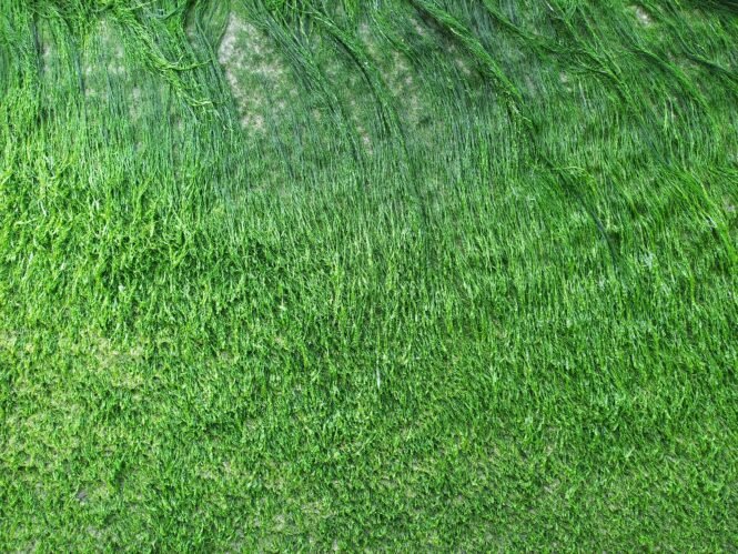 Credits: Sebi Augustine, pexels