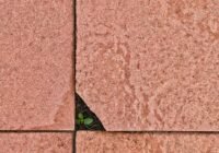 Credits: sum+it, pexels