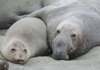 Credits: ramroh, pixabay