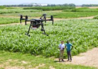 Credits: Tobias Hase, StMELF