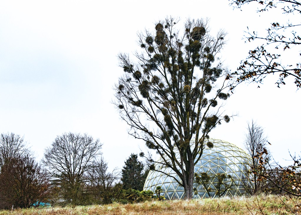 Credits: Arne Claussen, HHU