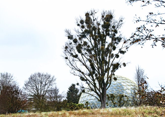 Credits: Arne Claussen, HHU