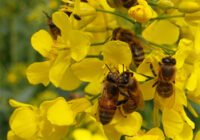 Credits: Lucy Hulmes