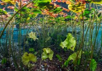 Credits: Michel Roggo