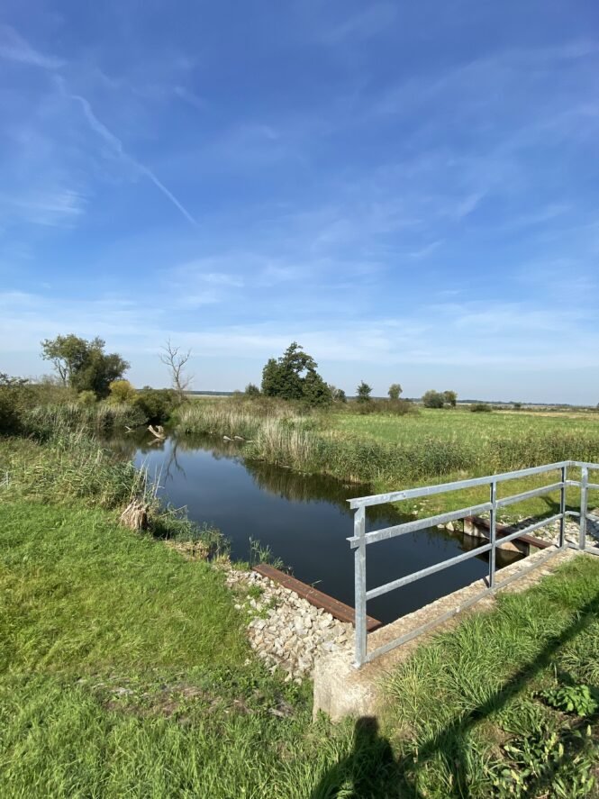 Credits: Dörthe Tetzlaff