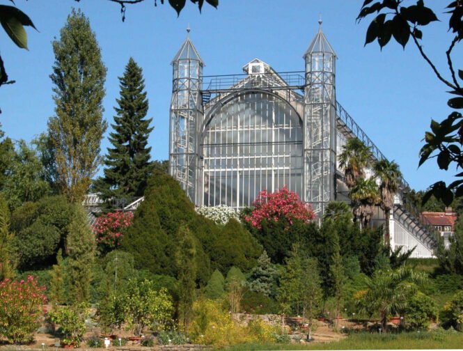 newsimage403689 | Pugnalom Credits: Botanischer Garten, Berlin