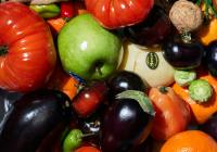 Credits: cocarinne, pexels