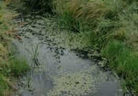 Credits: cottonbro studio, pexels