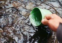 Credits: Jens Johnson, pexels