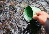 Credits: Jens Johnson, pexels