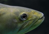 Credits: Jörg Hartmann, pexels