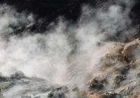 Credits: Laura Paredis, pexels