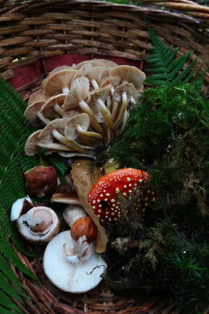 Credits: Lora Rikky, pexels