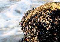 Credits: Magda Ehlers, pexels