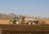 (Credits: Mirko Fabian, pexels)