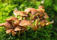 Credits: Pascal _photography, pexels