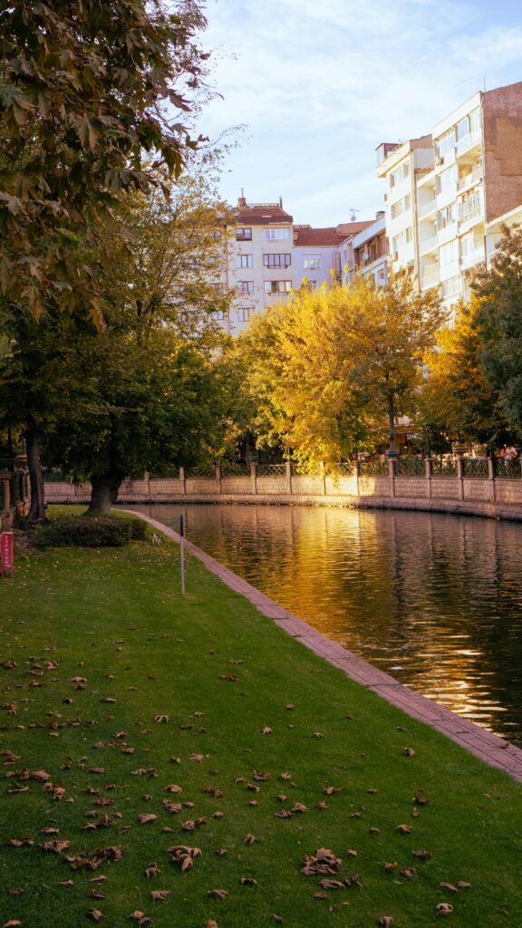 pexels-thuong-nguyen-927911277-30814354 | Pugnalom Credits: Thuong Nguyen, pexels