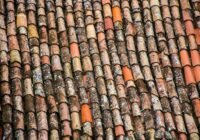 Credits: Blaz Erzetic, pexels