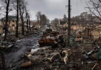 Credits: HUNGQUACH679PNG, pixabay