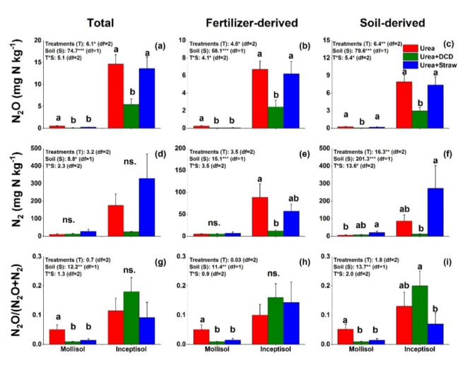 59789871 (1) | Pugnalom