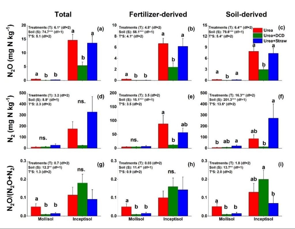 59789871 (1)3526473828353022544. | Pugnalom