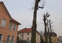 Ballenstedt, Sachsen-Anhalt