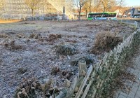 Bäume und Sträucher dem Erdboden gleichgemacht