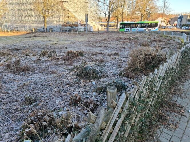 Bäume und Sträucher dem Erdboden gleichgemacht