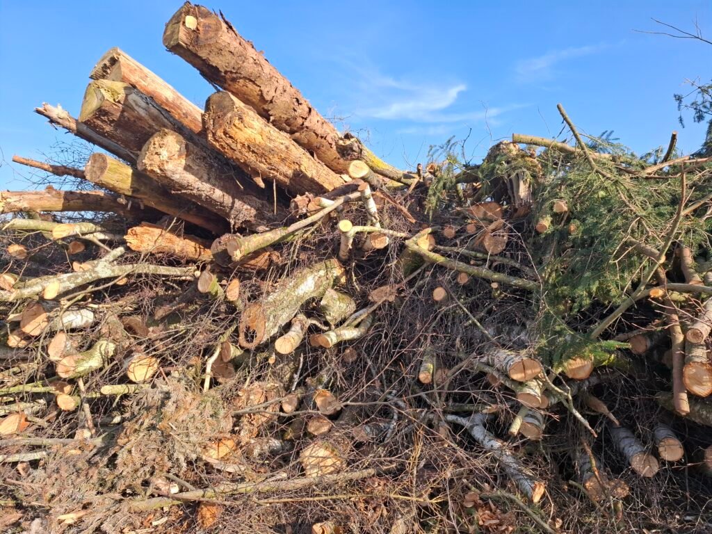 Radikale Entfernung sämtlicher Gehölze