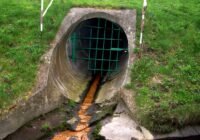 Credits: Skipka, pixabay