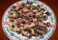 Grasmücken in einem Restaurant bei Paralimni, credits Komitee gegen den Vogelmord