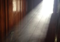 Credits: dre2uomaha0, pixabay