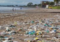 Credits: hhach, pixabay