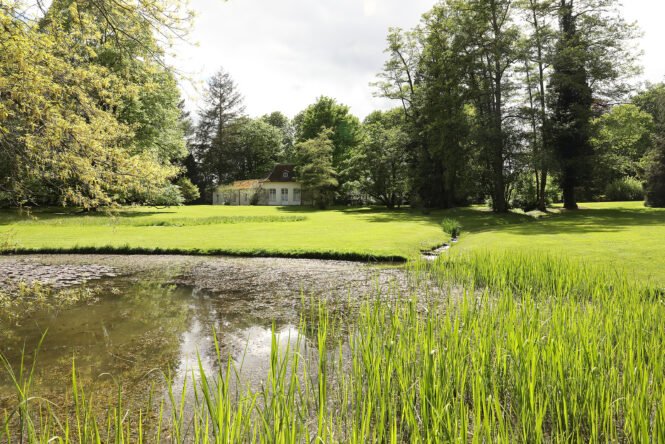 Credits: Universität Hohenheim