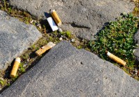 Credits: Comofoto, AdobeStock