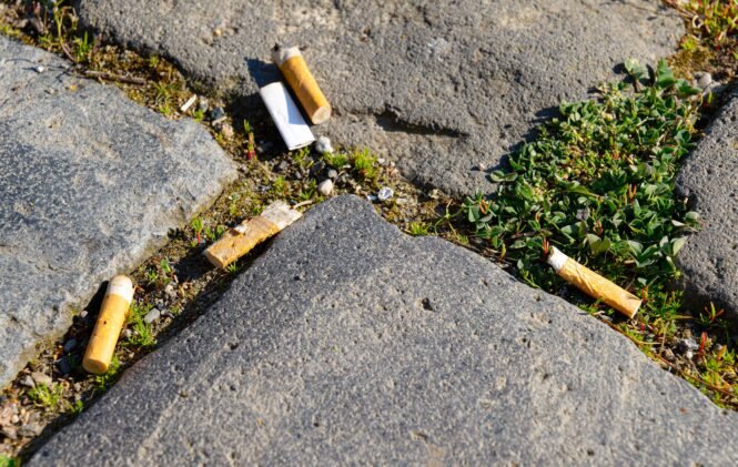 Umweltverschmutzung durch Raucher | Pugnalom Credits: Comofoto, AdobeStock