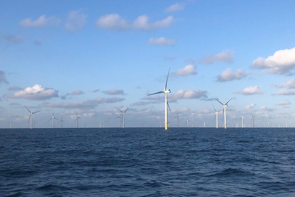 newsimage404375 | Pugnalom Credits: ILVO/RBINS